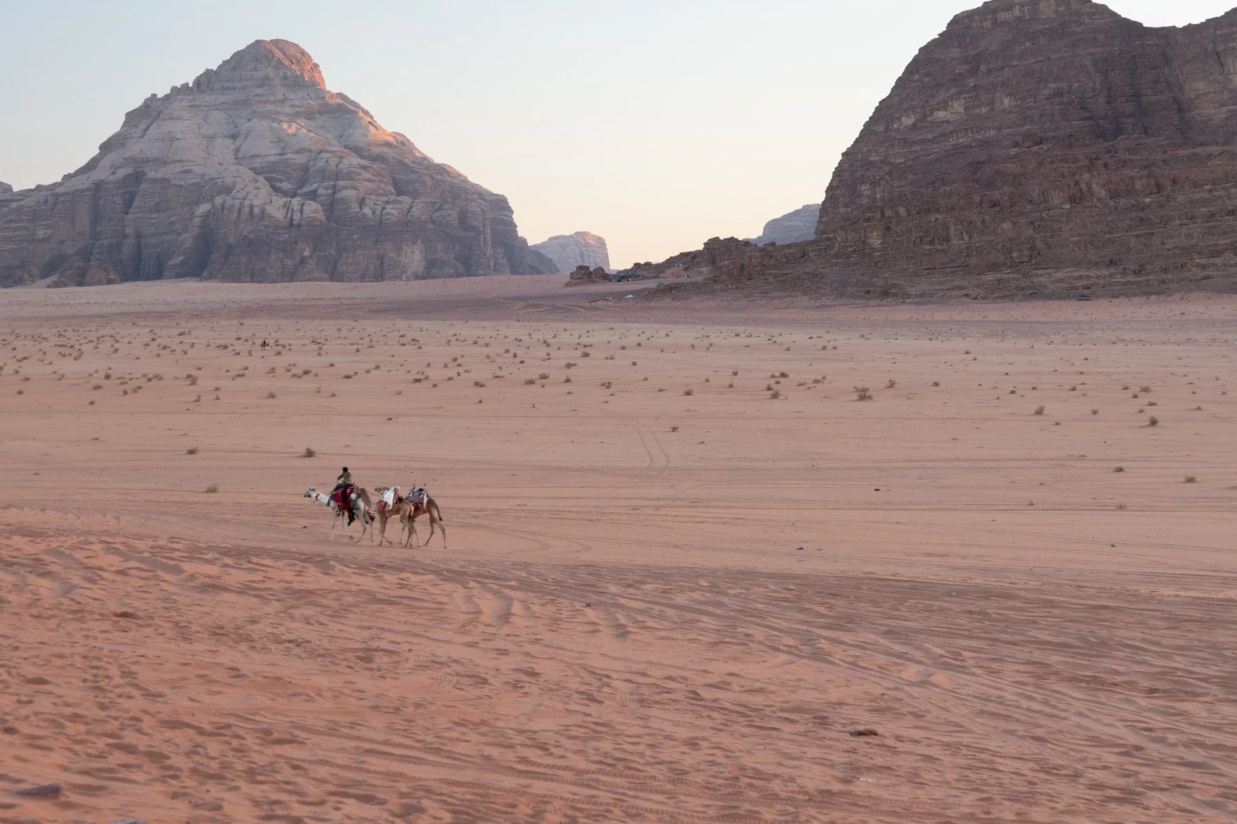 Carovana di cammelli nel deserto